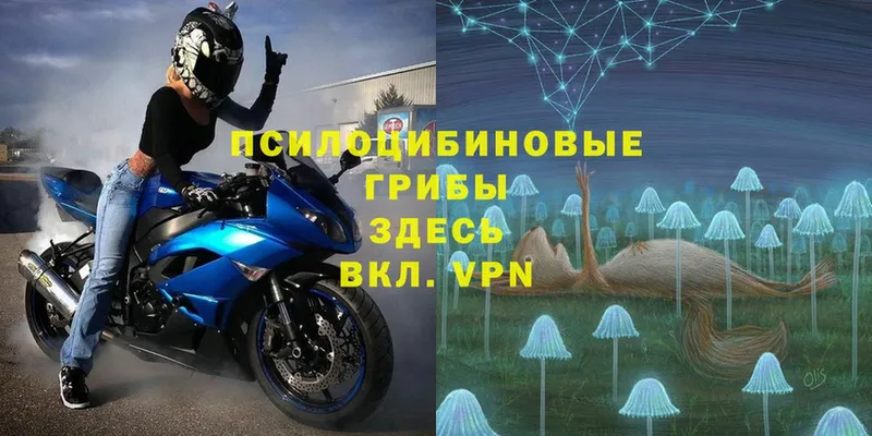 Галлюциногенные грибы Magic Shrooms  кракен рабочий сайт  Джанкой 